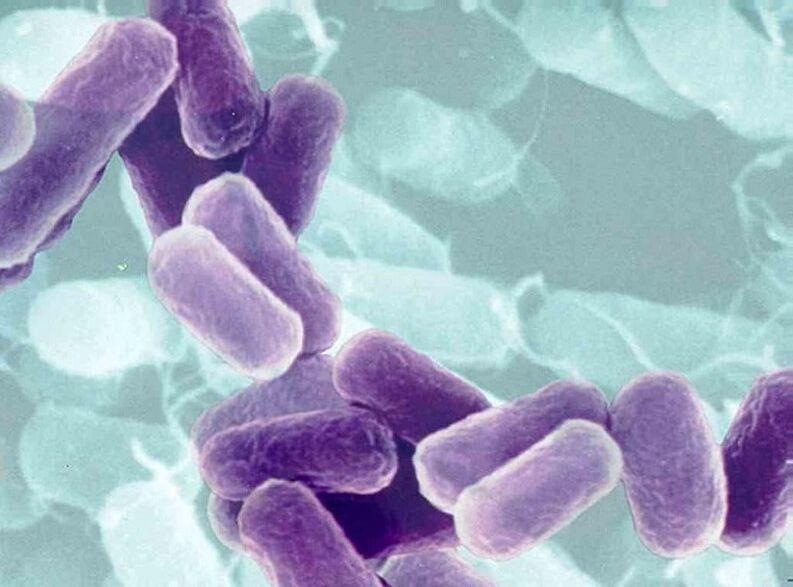 Prostatitis Kausalmittel bei Männern mit sexuellen Übertragungskrankheiten